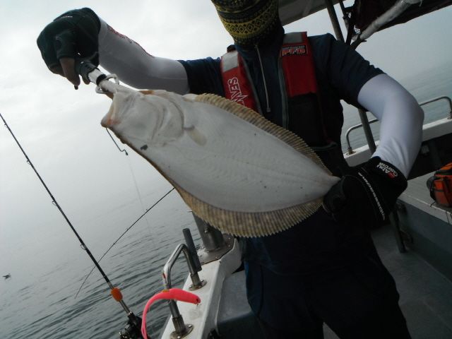 ũ⺯ȯ_1478ȭ~2 016.jpg