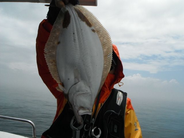 ũ⺯ȯ_1478ȭ~2 049.jpg