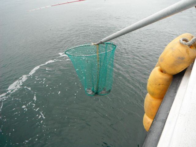 ũ⺯ȯ_1478ȭ~2 034.jpg