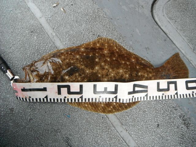 ũ⺯ȯ_1478ȭ~2 040.jpg