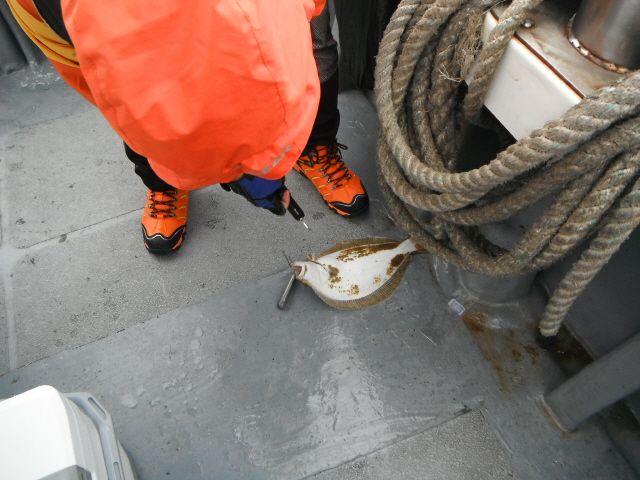 ũ⺯ȯ_1478ȭ~2 045.jpg