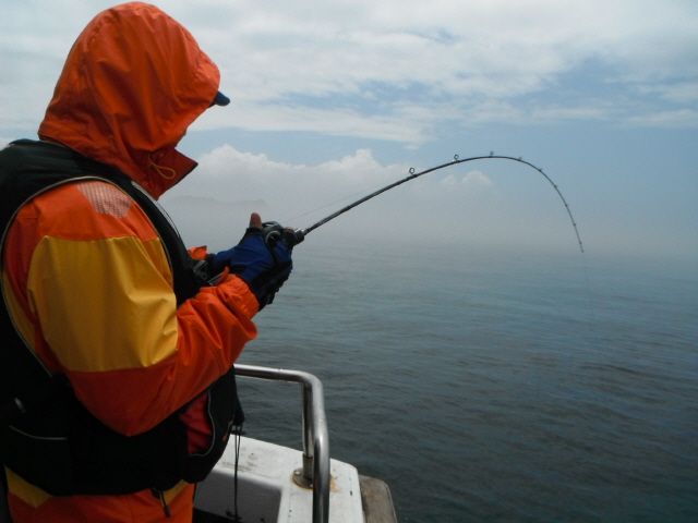 ũ⺯ȯ_1478ȭ~2 048.jpg