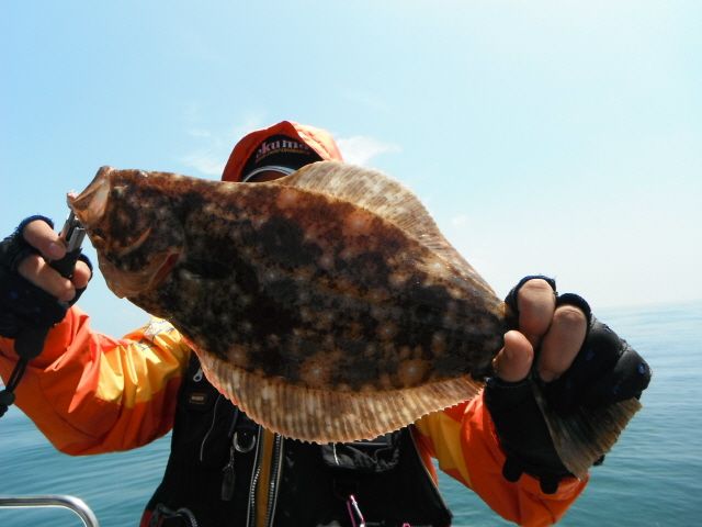 ũ⺯ȯ_1478ȭ~2 051.jpg