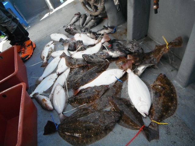 ũ⺯ȯ_1478ȭ~2 054.jpg