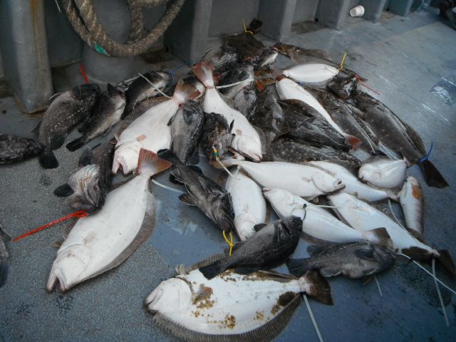 ũ⺯ȯ_1478ȭ~2 055.jpg