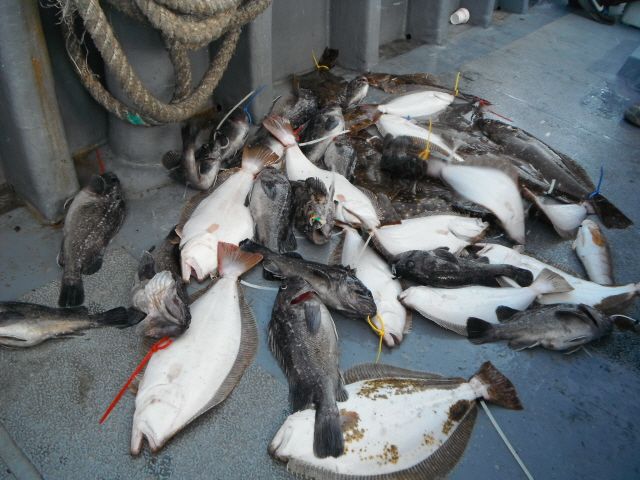 ũ⺯ȯ_1478ȭ~2 056.jpg