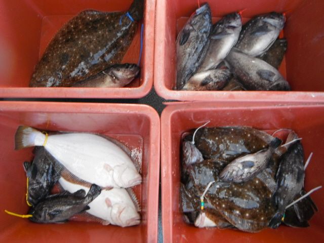 ũ⺯ȯ_1478ȭ~2 058.jpg