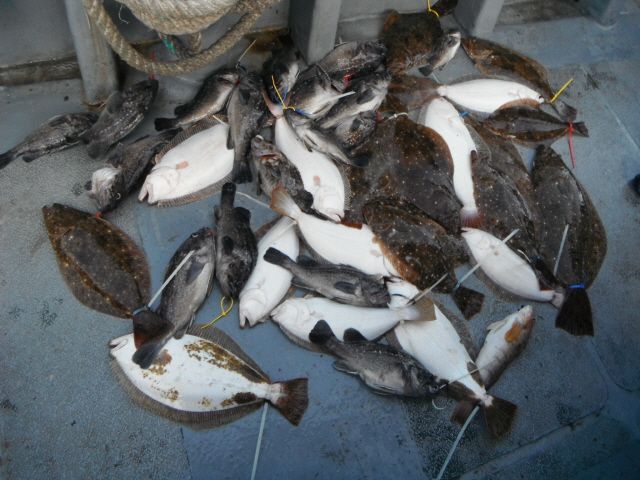 ũ⺯ȯ_1478ȭ~2 057.jpg