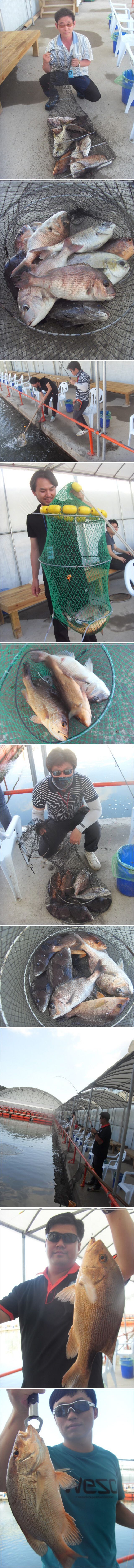 55555.jpg