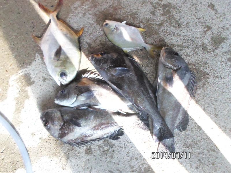 �ٹ̱�_SAM_0006.JPG