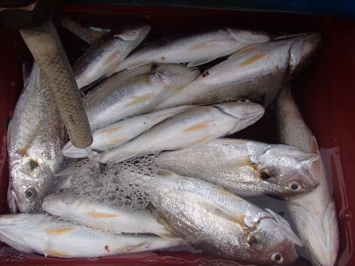 ũ�⺯ȯ_P7120024.JPG