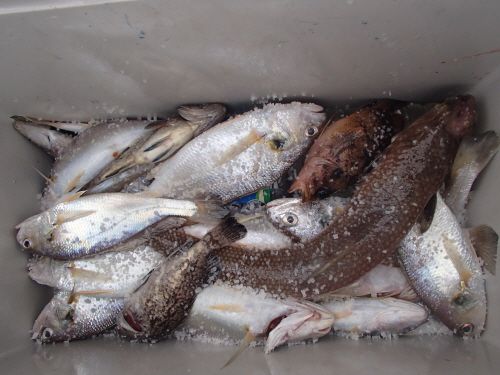 ũ�⺯ȯ_P7120031.JPG