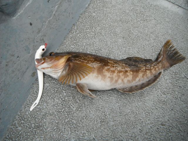 ũ�⺯ȯ_14��7��13�� �Ͽ��� 009.jpg