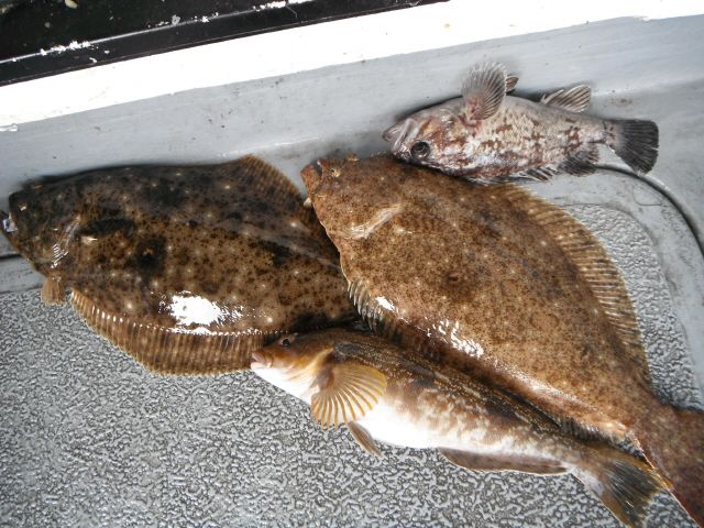 ũ�⺯ȯ_14��7��13�� �Ͽ��� 013.jpg