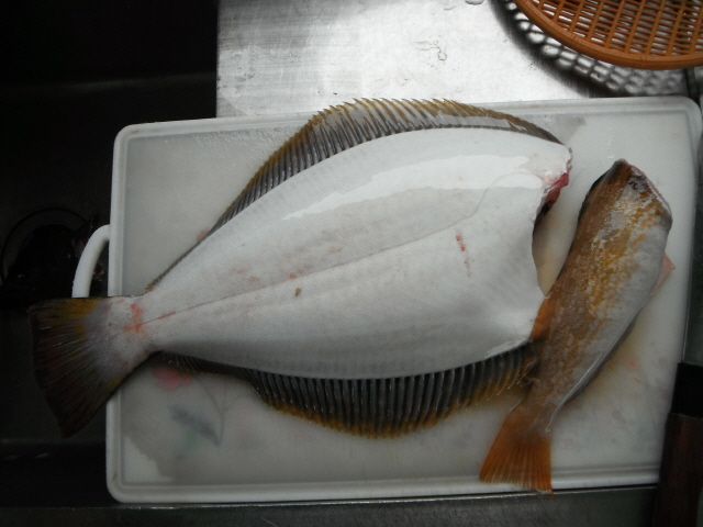 ũ�⺯ȯ_14��7��13�� �Ͽ��� 019.jpg