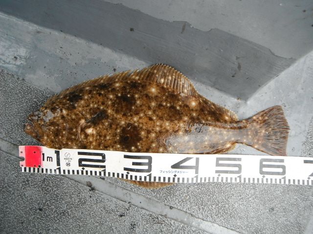 ũ�⺯ȯ_14��7��13�� �Ͽ��� 025.jpg