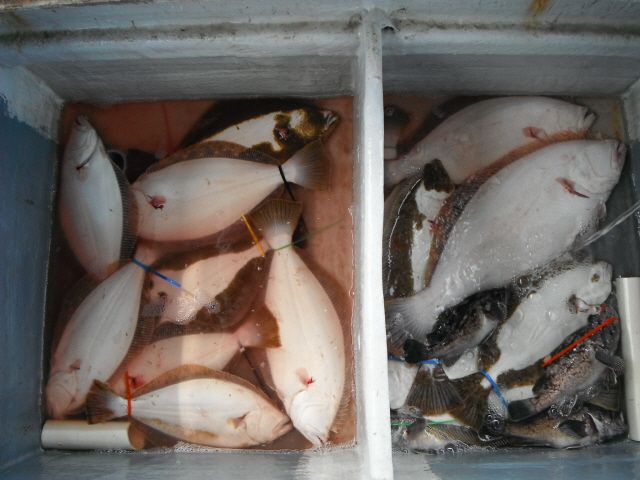 ũ�⺯ȯ_14��7��13�� �Ͽ��� 037.jpg