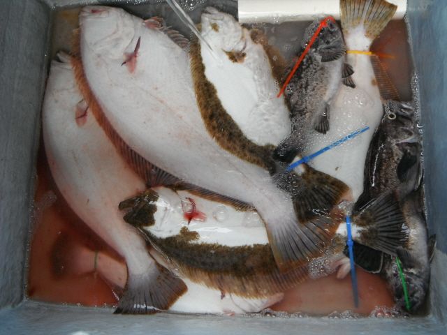 ũ�⺯ȯ_14��7��13�� �Ͽ��� 038.jpg