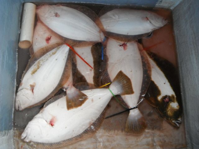 ũ�⺯ȯ_14��7��13�� �Ͽ��� 040.jpg