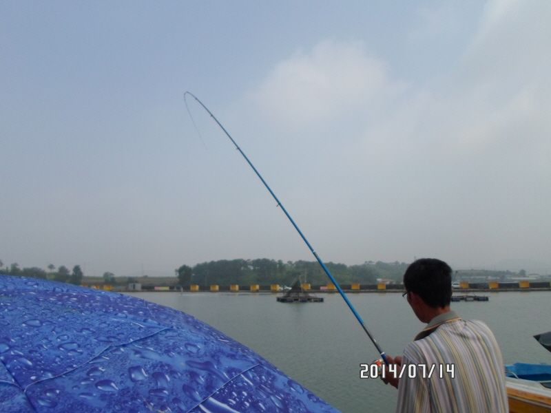 ٹ̱_SAM_0006.JPG