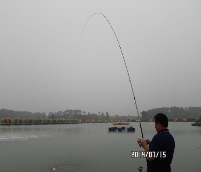 ٹ̱_SAM_0003.JPG
