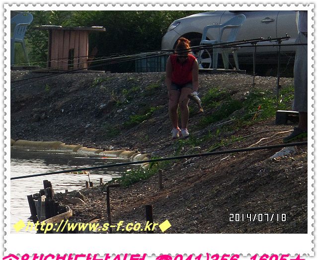 16.jpg