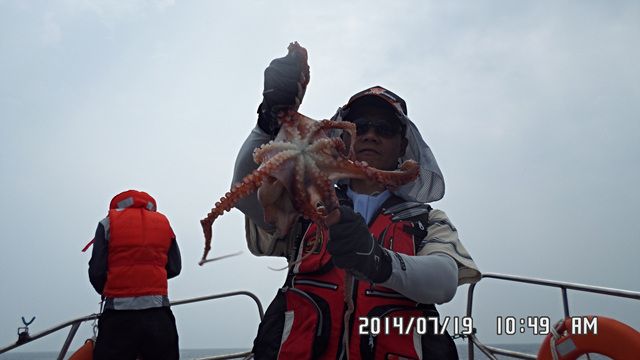 SAM_1379.jpg