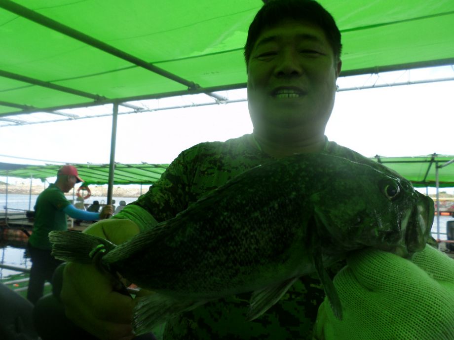 SAM_0618.JPG