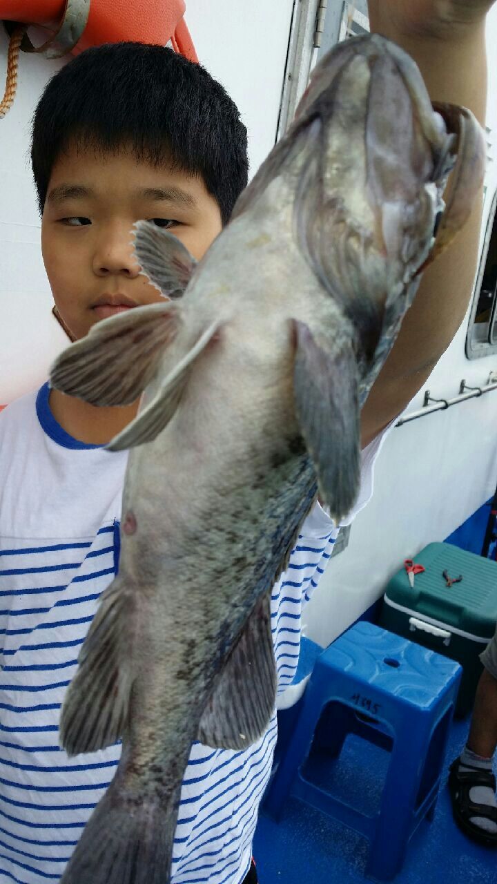 KakaoTalk_20140721_093226963.jpg