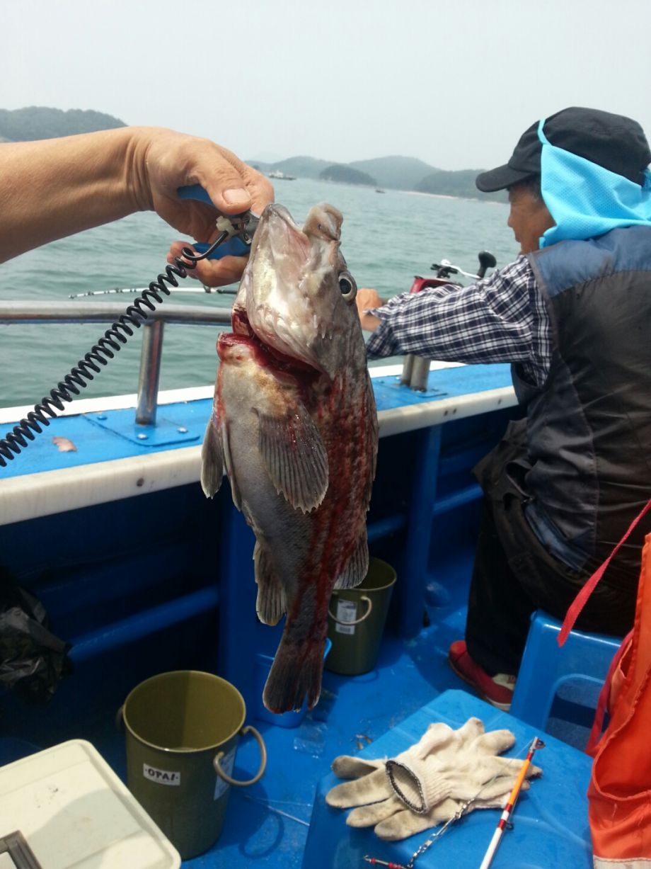KakaoTalk_20140721_093229434.jpg
