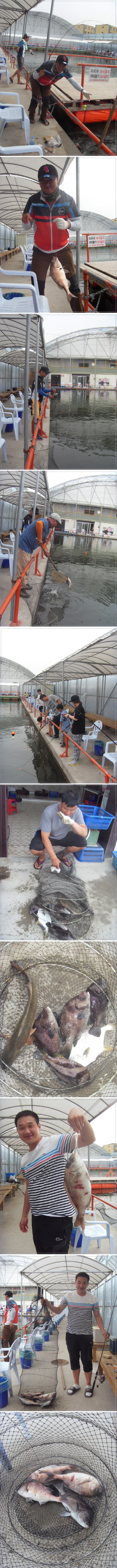 55555.jpg