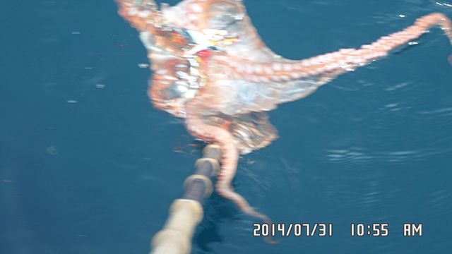 SAM_1505.jpg