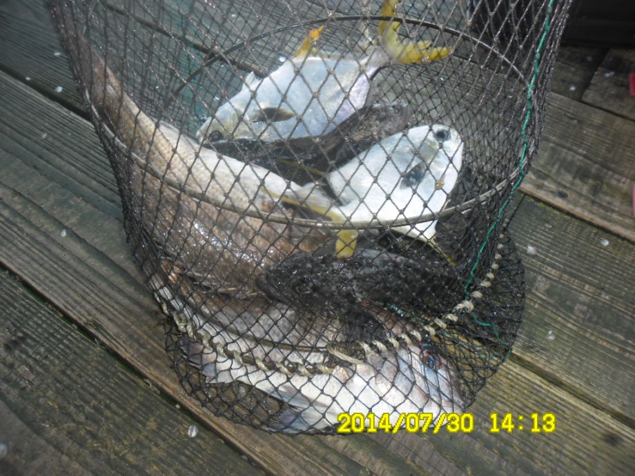 SAM_2268.JPG
