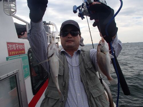 ũ⺯ȯ_P8020111.JPG