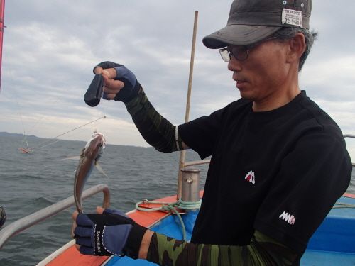 ũ⺯ȯ_P8020112.JPG