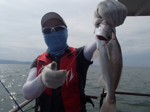 ũ⺯ȯ_P8020118.JPG