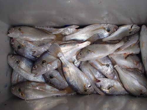 ũ⺯ȯ_P8020129.JPG