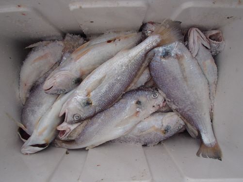ũ⺯ȯ_P8070039.JPG