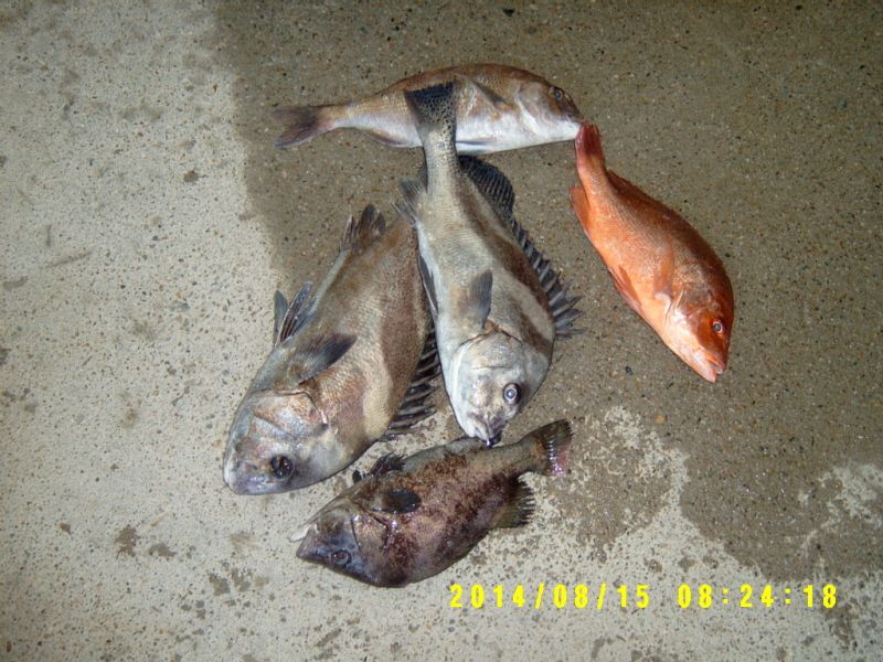 ٹ̱_S3500001.JPG