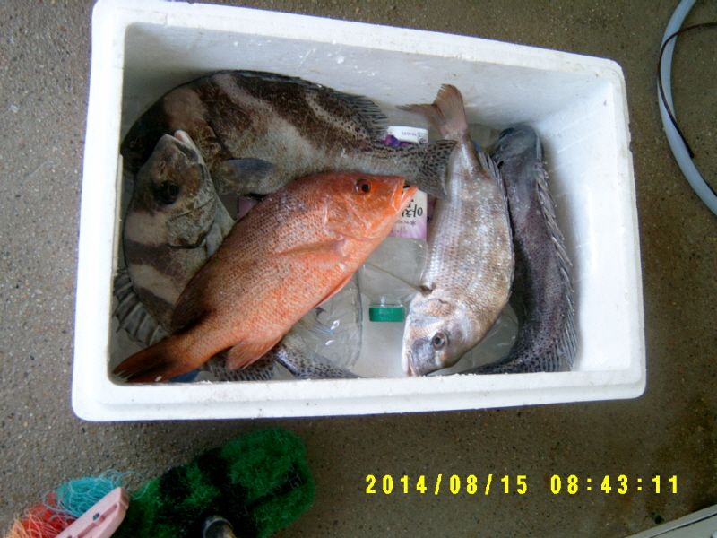 ٹ̱_S3500002.JPG