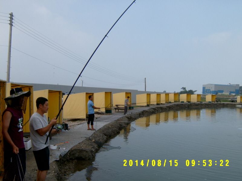 ٹ̱_S3500004.JPG