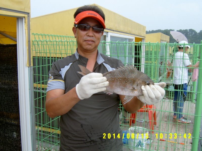 ٹ̱_S3500018.JPG