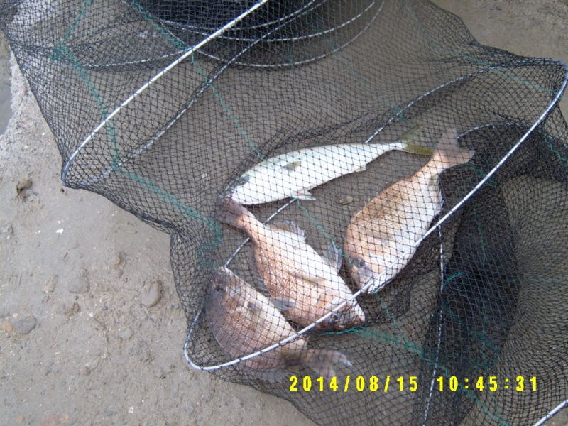 ٹ̱_S3500022.JPG