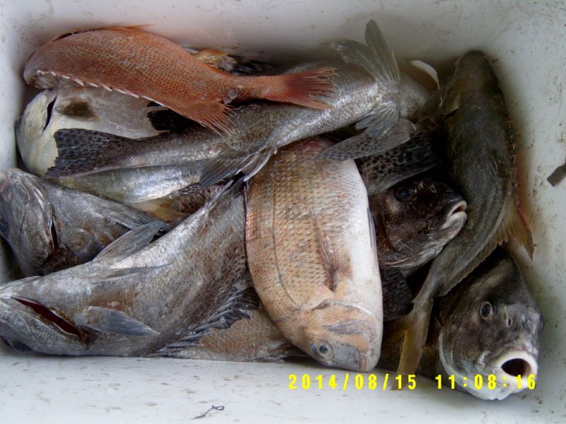 ٹ̱_S3500025.JPG