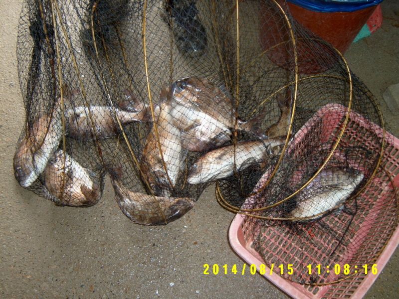 ٹ̱_S3500026.JPG
