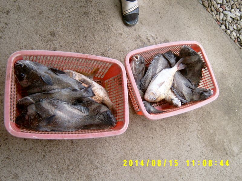 ٹ̱_S3500027.JPG