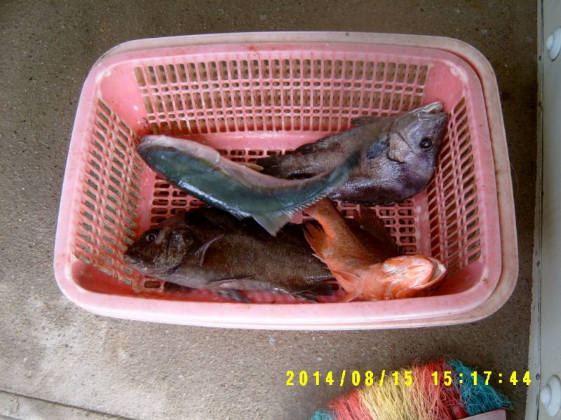 ٹ̱_S3500030.JPG