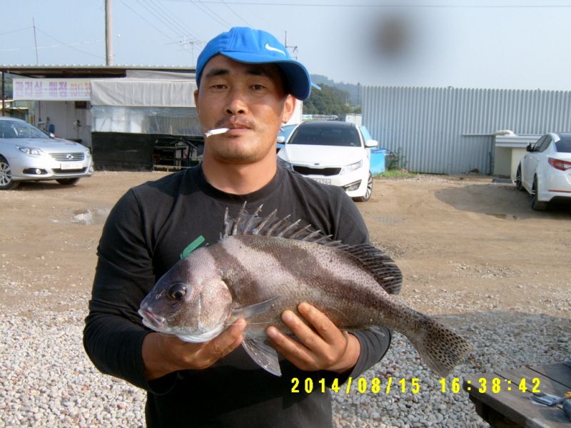 ٹ̱_S3500037.JPG