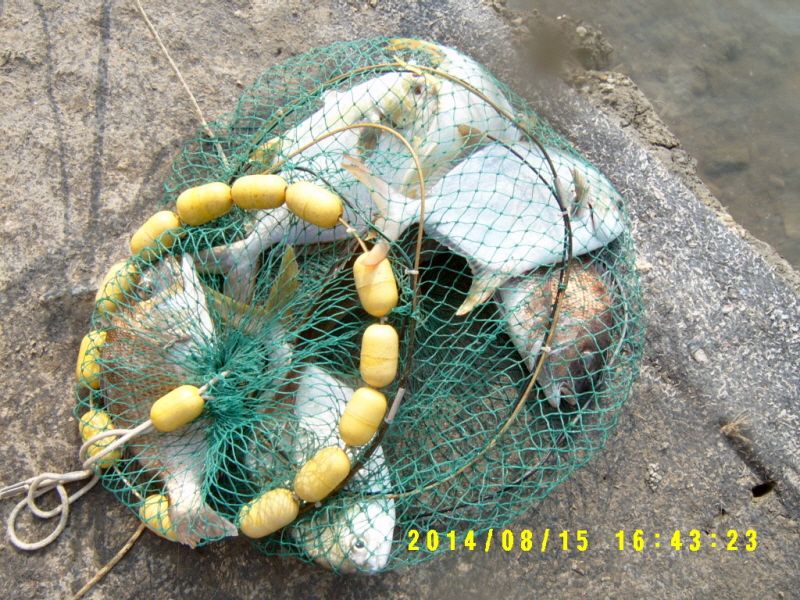 ٹ̱_S3500040.JPG