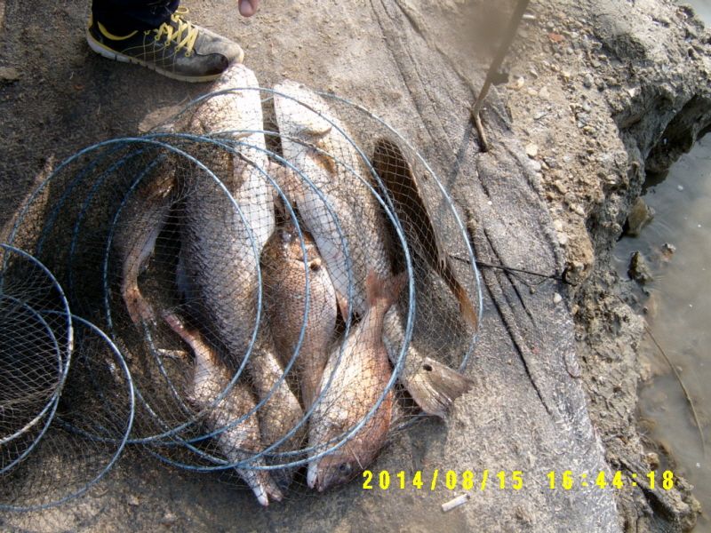 ٹ̱_S3500041.JPG
